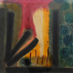 Masked_Border_(Bush_Tails)