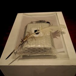 SelfPortrait_As_Self_Censored_Memory